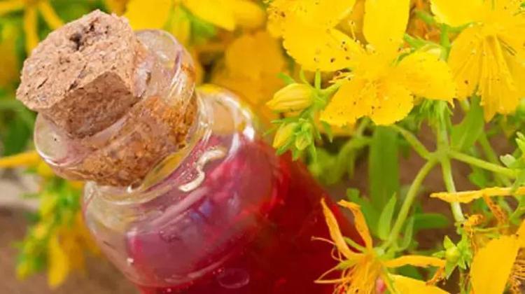 Mucize krem kapanmayan yaraları iyileştiriyor İki günde etkisini gösteriyor: Kantaron yağı, propolis, bal, zeytinyağı