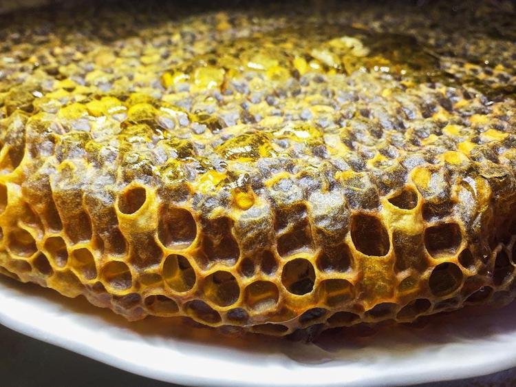 Mucize krem kapanmayan yaraları iyileştiriyor İki günde etkisini gösteriyor: Kantaron yağı, propolis, bal, zeytinyağı