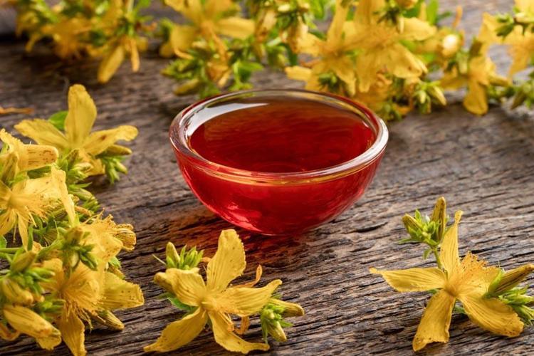 Mucize krem kapanmayan yaraları iyileştiriyor İki günde etkisini gösteriyor: Kantaron yağı, propolis, bal, zeytinyağı