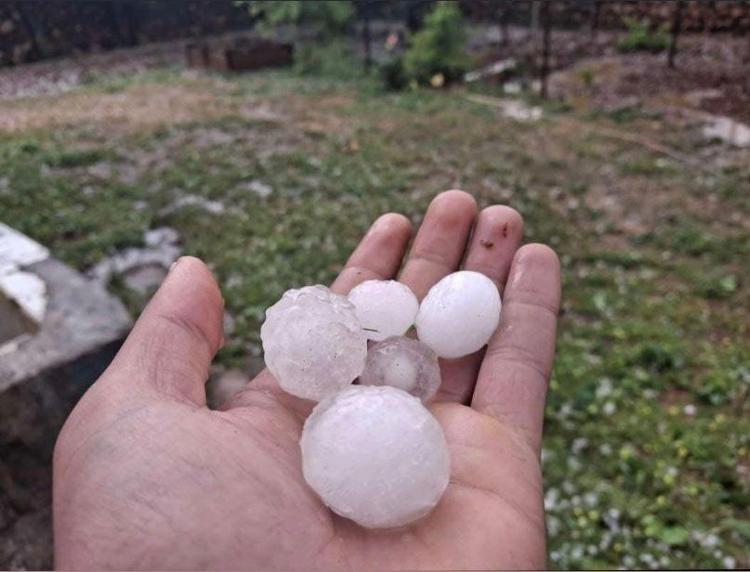 Türkiyede üretimi dörtte bir azaldı İki hasat dönemi var: 2026da fiyatı uçar