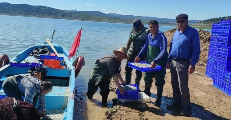Yozgatın hazinesi Avrupaya cips oluyor Çekerek Barajından ihracat atağı