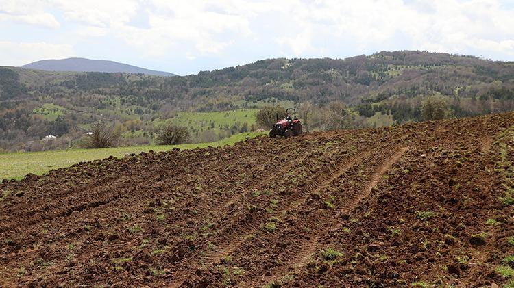 Büyükşehrin tohum ve makine desteği, atıl arazileri tarıma kazandırdı