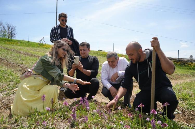 Komşusunda gördü memleketteki tarlaya ekti 1 dönümden 2,5 milyon TL kazandırıyor: Üretimi basit, kilosu 3 bin TL