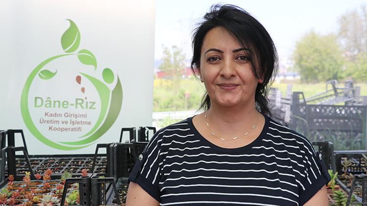 Ata tohumunun etrafında güçlerini birleştiren kadınlar hayallerini gerçekleştirdi Kocaelinde üretime başladılar