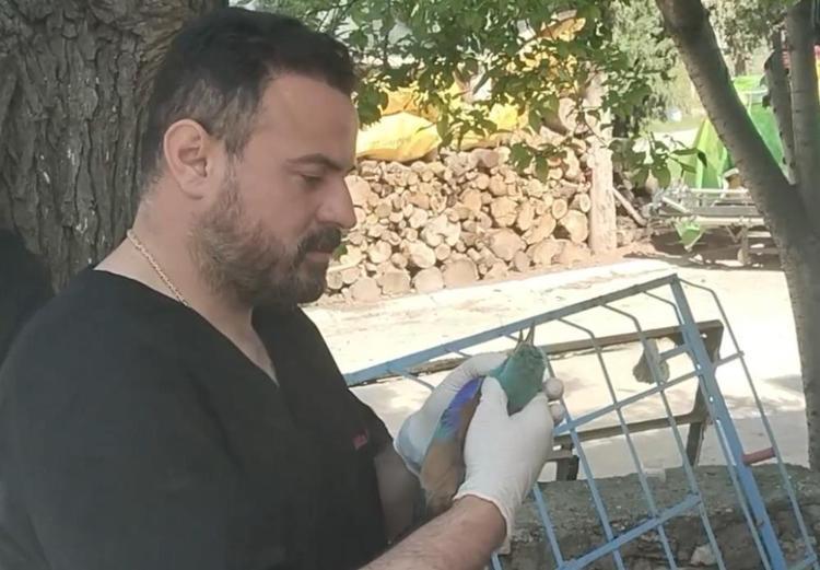 Tarlasında çalışırken fark etti, çok nadir görülüyor Sırbistandan gelmiş, bakanlık devreye girdi