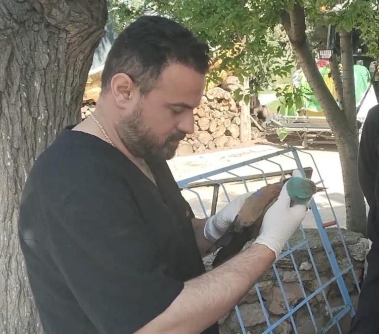 Tarlasında çalışırken fark etti, çok nadir görülüyor Sırbistandan gelmiş, bakanlık devreye girdi