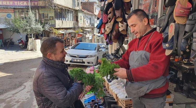 Dağda kendiliğinde yetişiyor Sadece 1 ay çıkıyor, Sepet sepet topluyorlar, şifa deposu, tanesi 30 TL