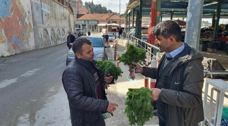 Dağda kendiliğinde yetişiyor Sadece 1 ay çıkıyor, Sepet sepet topluyorlar, şifa deposu, tanesi 30 TL