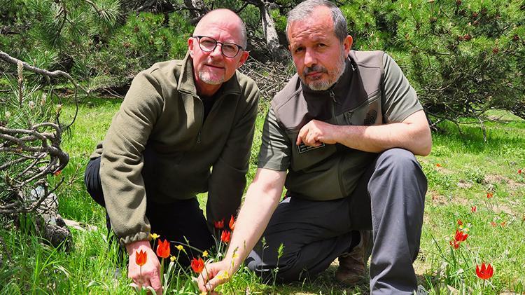 Sadece Manisada görülüyor Yılda 1 kez ortaya çıkıyor, 10 gün ömrü var, bunu yapan 557 bin TL hazırlasın