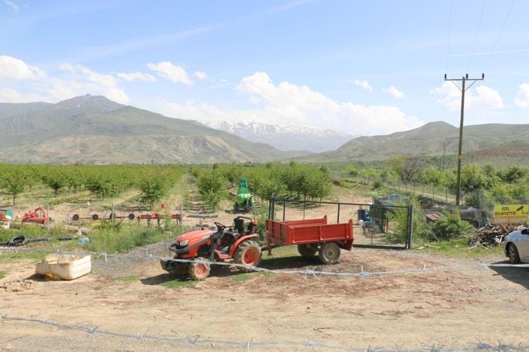 Türk cerrah 40 bin tane ağaç dikti, kendi yöntemiyle üretim yapıyor Fabrikada işlenip ihraç ediyor
