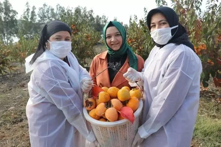 İşsiz kalınca keşfetti, Adananın kraliçesi oldu Kilosu 100 TLye 10 ton satıyor: İhracata başladı