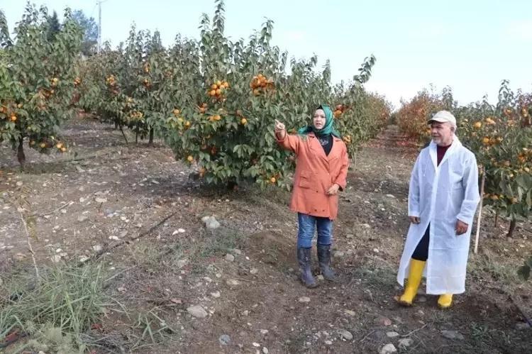 İşsiz kalınca keşfetti, Adananın kraliçesi oldu Kilosu 100 TLye 10 ton satıyor: İhracata başladı