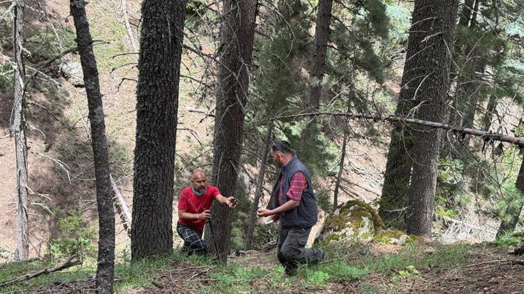 Tüm köy zengin oldu: Kilosunu bin liradan satıyorlar Altın bulsak bu kadar sevinmeyiz
