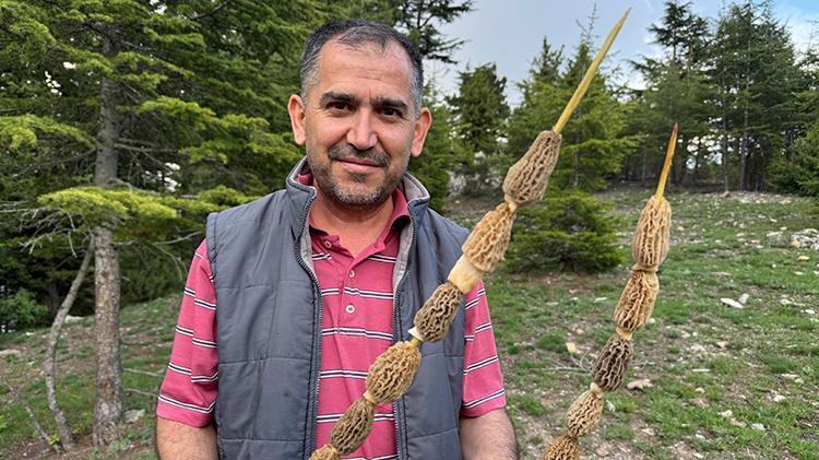 Tüm köy zengin oldu: Kilosunu bin liradan satıyorlar Altın bulsak bu kadar sevinmeyiz