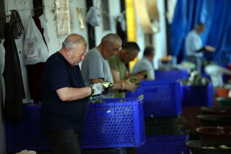 - Kadınlar topluyor erkekler soyuyor