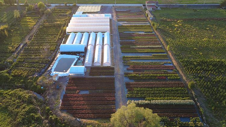 Birçok iş denedi olmadı Sonunda babasının yolundan gitti ve devlet desteğiyle işinin patronu oldu