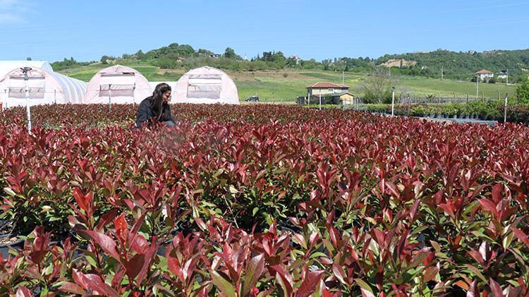 Birçok iş denedi olmadı Sonunda babasının yolundan gitti ve devlet desteğiyle işinin patronu oldu