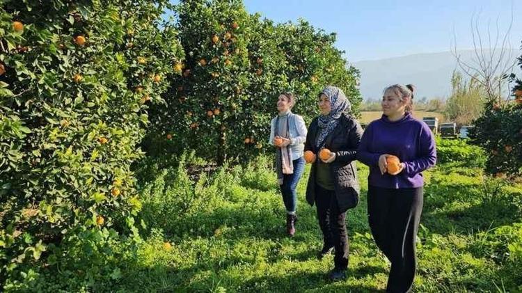 Her çiftçi başvurduğunda alıyor Aydında destek başladı: Üretime 1 litre katkısı