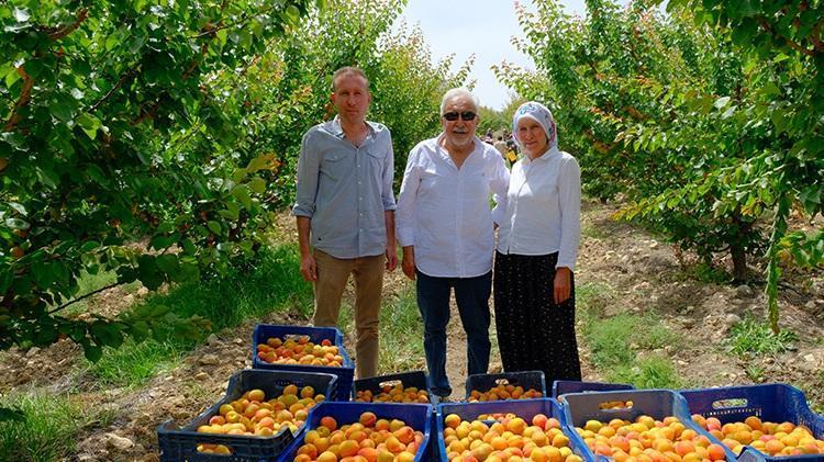 Türkiyenin üretim deposu Mersinden Avrupaya tonlarca gidiyor, ilk hasat başladı, kilosu 50 lira