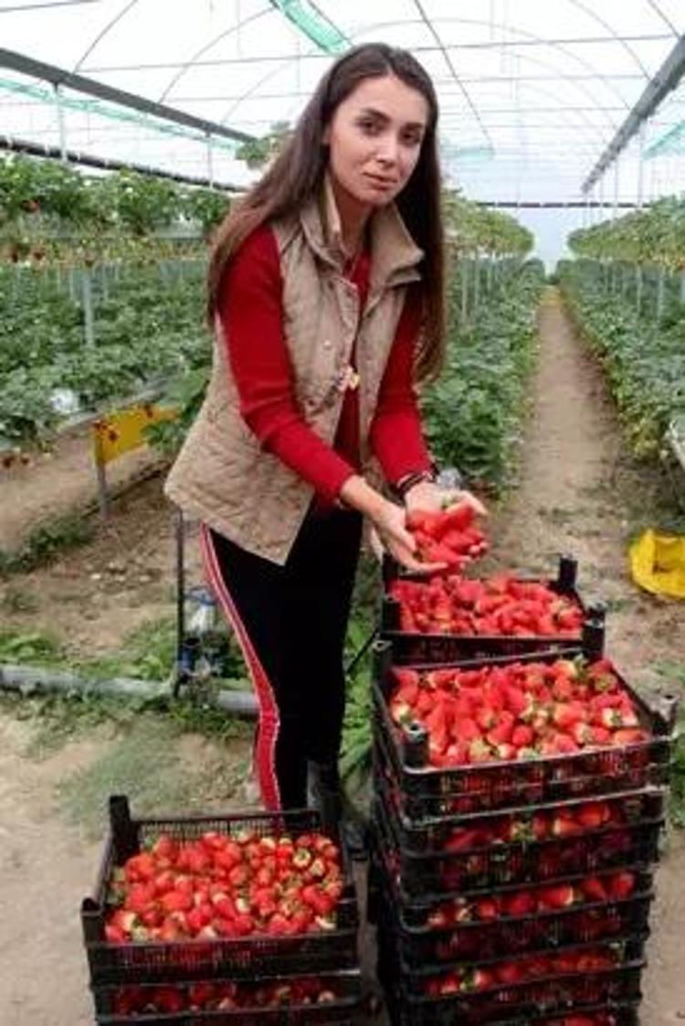 Sadece 200 bin TL harcadı, haftada 1,5 buçuk ton ihracat yapıyor: Adanada ilk kez denedi