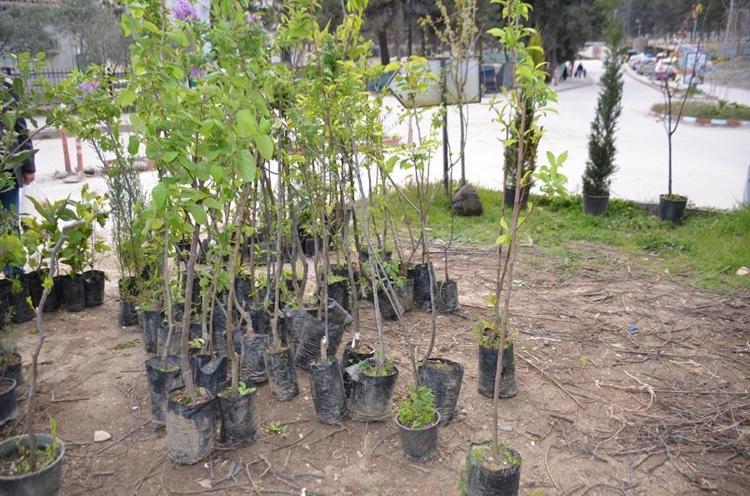 Bilecikte dededen toruna uzanan bir meslek mirası: Fiyatları 150 liradan başlıyor