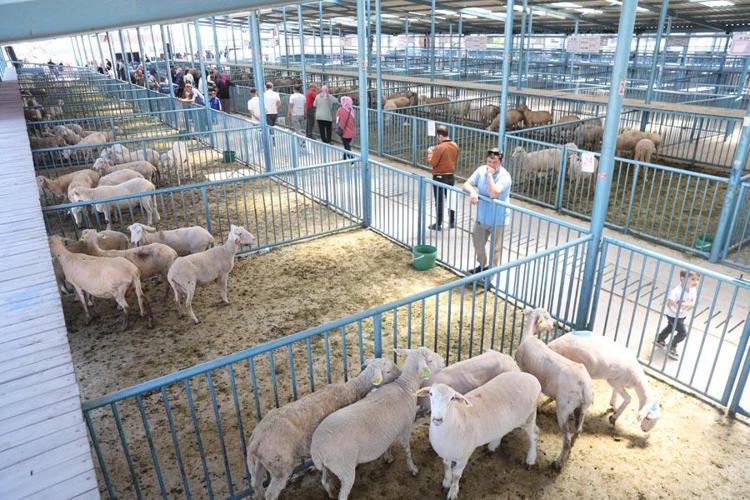Denizli Merkezefendide kadın üreticilere 10 milyonluk destek