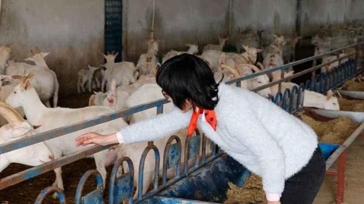 Güney Korede düşündü, Kocaelide hayata geçirdi Genç kadın fabrika kurdu, Üretim 22 dönüme ulaştı