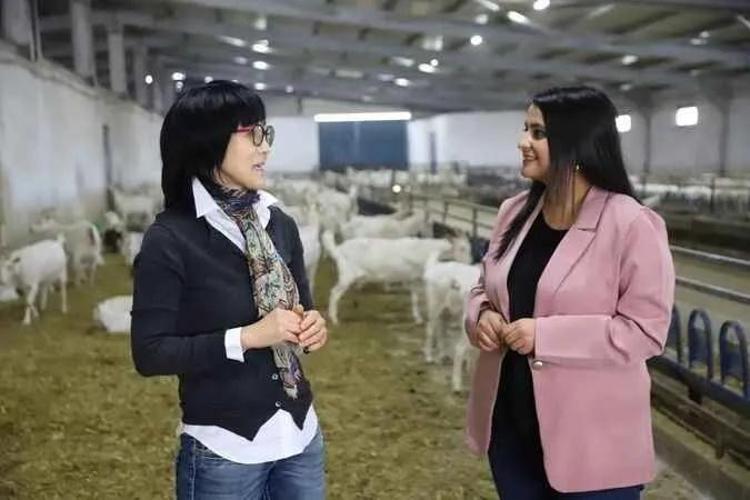Güney Korede düşündü, Kocaelide hayata geçirdi Genç kadın fabrika kurdu, Üretim 22 dönüme ulaştı