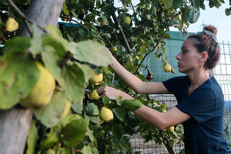 Kocasını bu işe zor ikna etti, 45inde servet kazandı Boluya taşınıp seri üretime başladı
