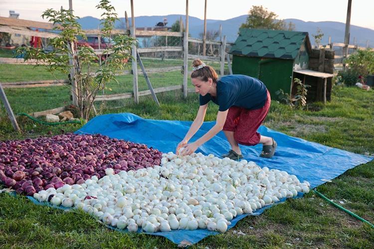 Kocasını bu işe zor ikna etti, 45inde servet kazandı Boluya taşınıp seri üretime başladı