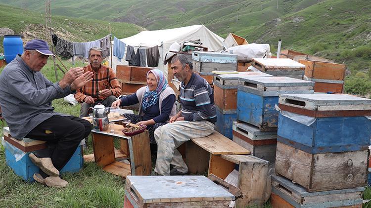 Ağrılıların fark edemediğini Ordulu 3 kardeş fark etti Her yıl aylarca Ağrının dağlarında yaşıyorlar