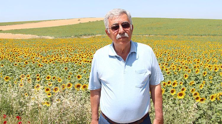 AYÇİÇEĞİ BİZİM İÇİN SON DERECE KIYMETLİDİR