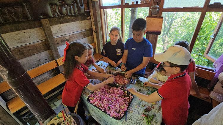 Zonguldakta köy okulunda müze kurdu 5 öğrenci bahçede tarım yapıp, keçiden bıldırcına hayvan besliyor