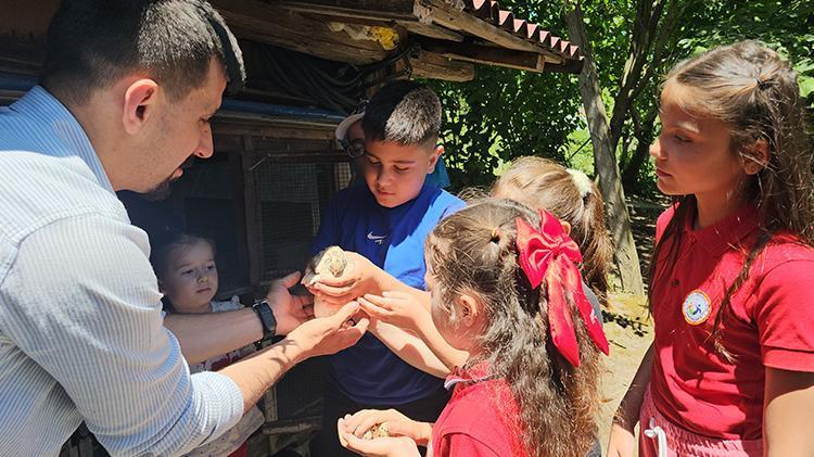 Zonguldakta köy okulunda müze kurdu 5 öğrenci bahçede tarım yapıp, keçiden bıldırcına hayvan besliyor