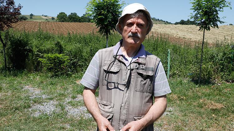 Samsunda doğada bulunuyor Beddua bile ederler, gören maydanoz sanıyor, ölüm tehlikesi var