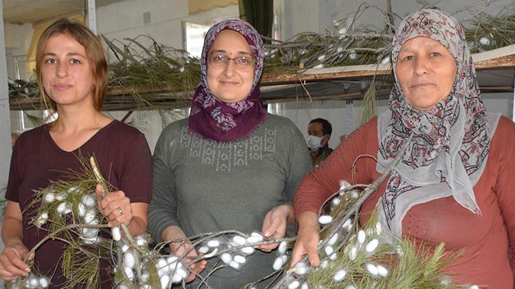Anne ve kızı internetten öğrenip yapmaya başladı Hasat başladı, kilolarca üretiyor, 2 bin liradan satışa çıktı