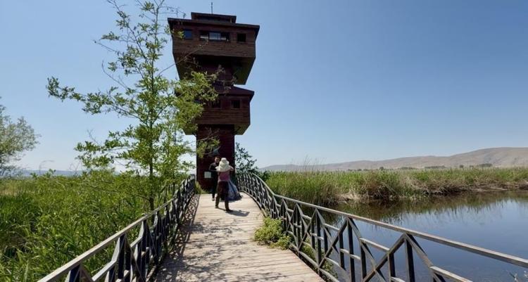 Kaz Gölü yeni evlenenlerin fotoğraf mekanı oldu