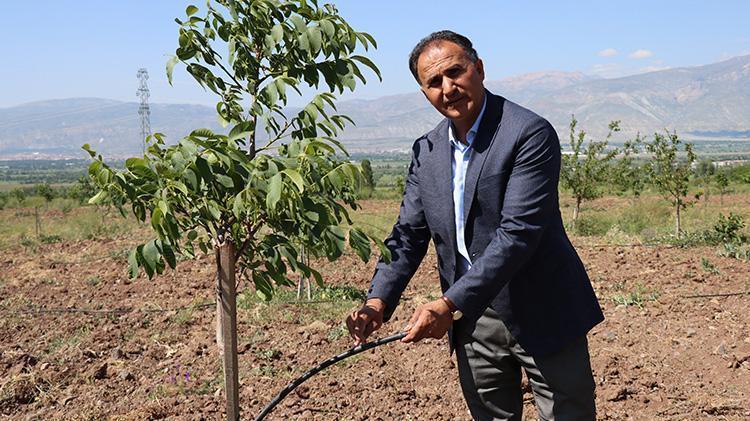 Erzincanda öğretim üyesi çorak araziyi tarıma kazandırdı İşte akıllara durgunluk veren yöntem