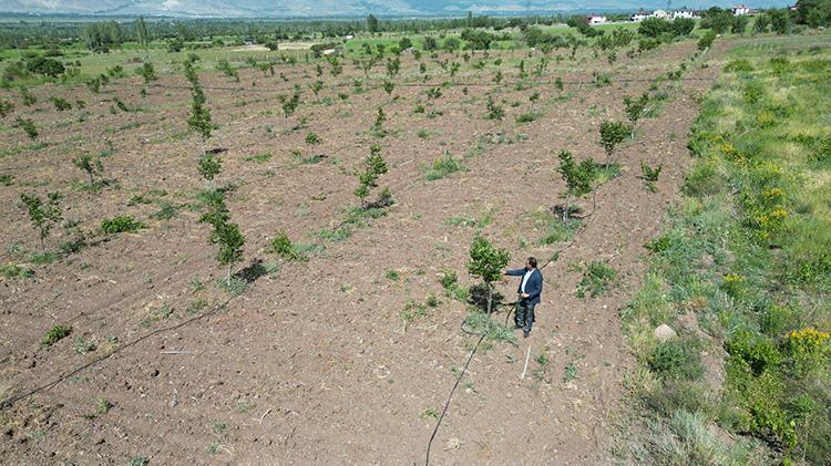 Erzincanda öğretim üyesi çorak araziyi tarıma kazandırdı İşte akıllara durgunluk veren yöntem