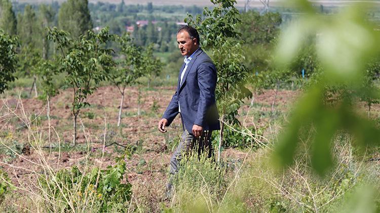 Erzincanda öğretim üyesi çorak araziyi tarıma kazandırdı İşte akıllara durgunluk veren yöntem