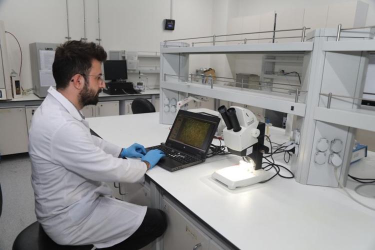 Tüm bitkisel kaynaklar aynı fonksiyona sahip