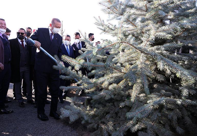 Cumhurbaşkanı Erdoğan: Türkiye, ağaçlandırma çalışmalarında Avrupada birinci sırada