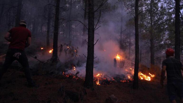 Türkiye için korkutan tahmin 8 kişi hayatını kaybetmişti: İşte orman yangınları için en riskli bölgeler...
