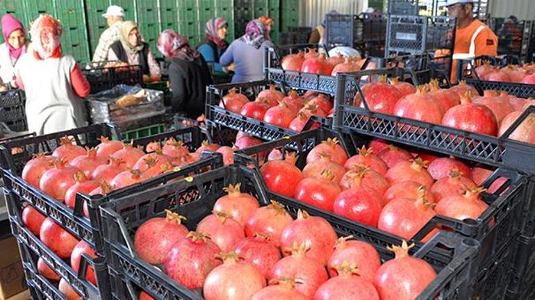 Rusyadan son dakika Türkiye kararı Hepsi durduruldu