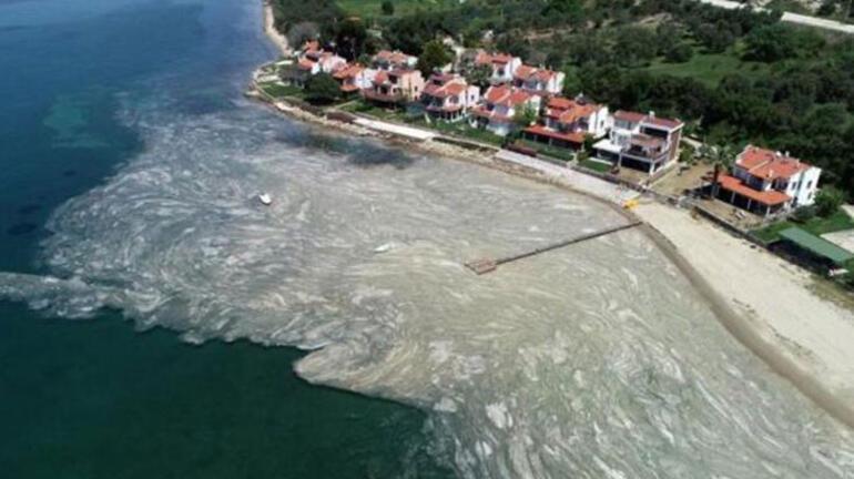 Marmara Denizi öldü Hastalıklı balıklar istavrit, lüfer, palamut...