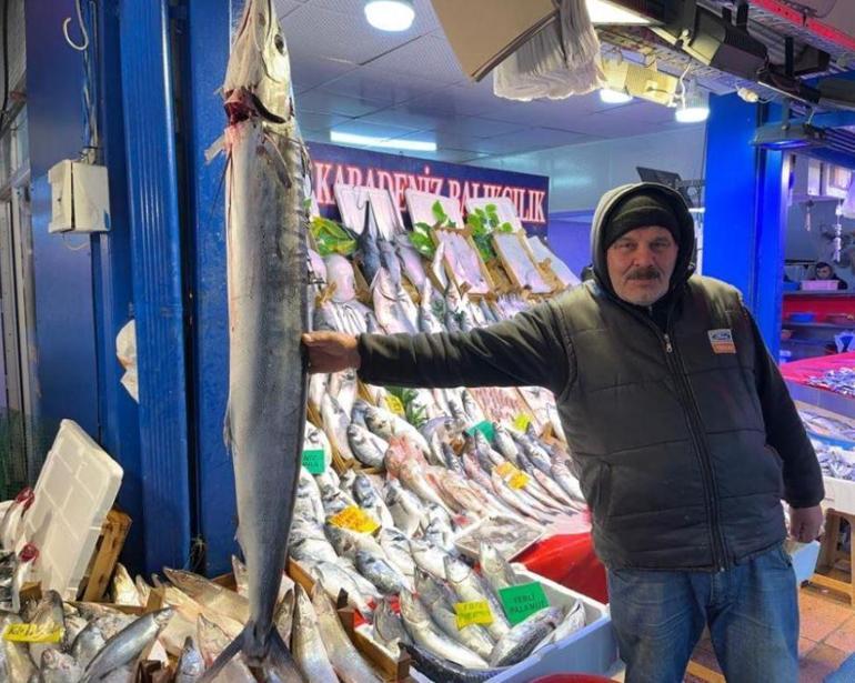 2 bin liraya satılıyor 1 buçuk metrelik balığa yoğun ilgi