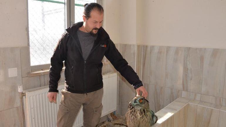 Doç. Dr. Kayadan korkutan yaban hayat açıklaması: Maalesef tehlike çanları çalıyor