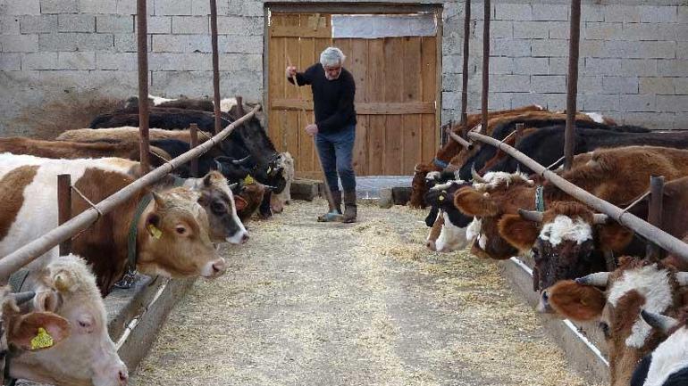 Fiyatı ikiye katlandı, talep patladı Bahçeyi kışın sıcak, yazın ferah tutuyor