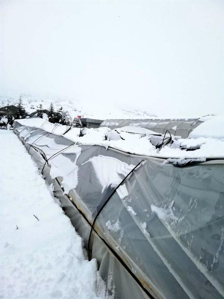 Isparta ile ilgili son dakika açıklaması Belediye başkanı duyurdu: Her yere elektrik vereceğiz