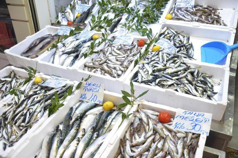 Balık fiyatları arttı Tezgahlarda yoğunluk azaldı Kilosu...